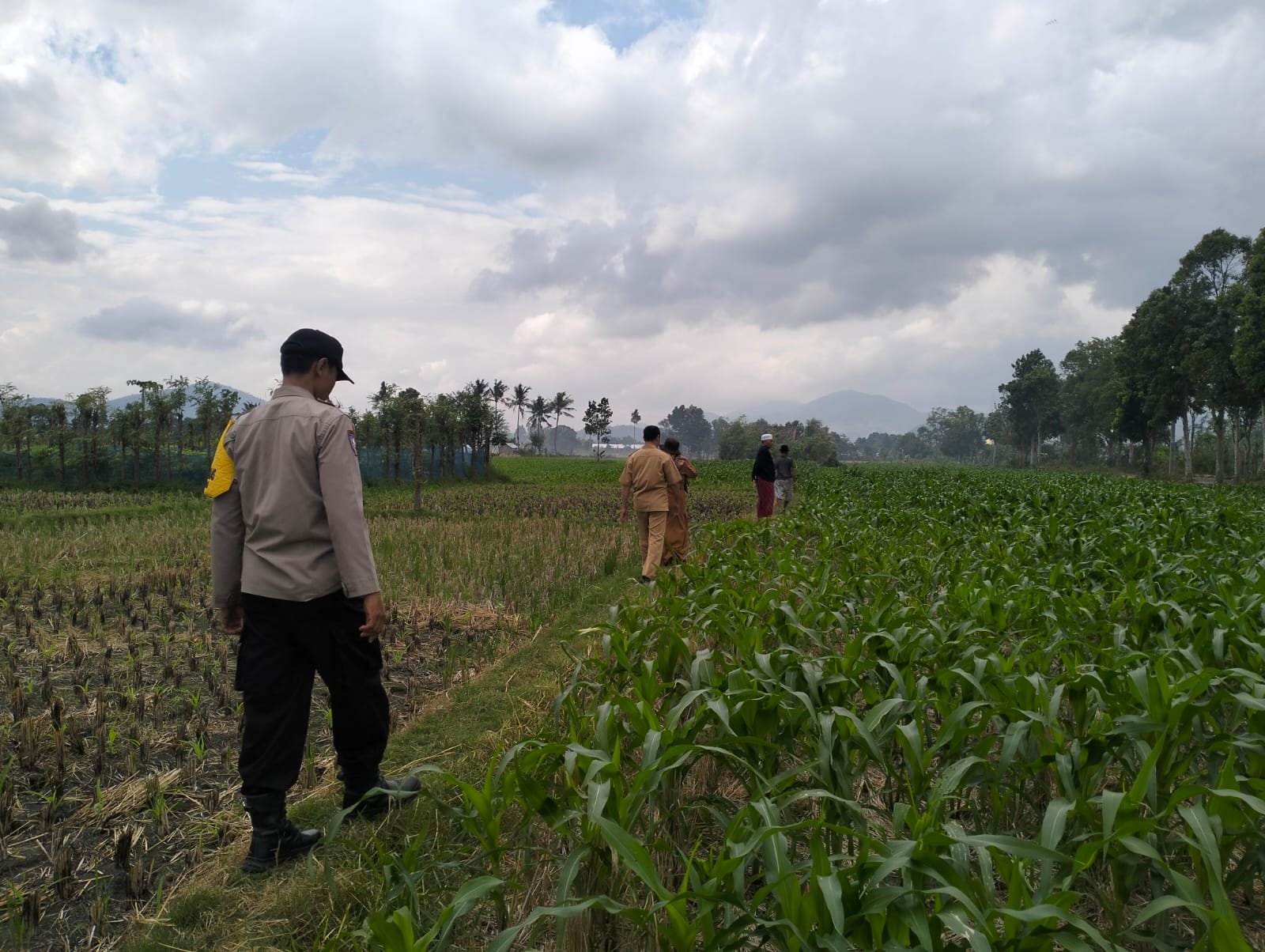 Polsek Kediri Bersama Bhabinkamtibmas dan PPL Pertanian Tingkatkan Ketahanan Pang