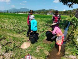 Polisi Hadir di Ladang Jagung Kuripan untuk Swasembada Pangan