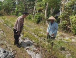 Ketahanan Pangan Warga Desa Kuranji Dikuatkan Lewat Pemanfaatan Lahan Pekarangan