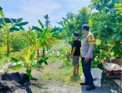 Polsek Labuapi Galakkan Pemanfaatan Pekarangan untuk Ketahanan Pangan di Desa Bajur