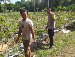 Polsek Sekotong Perkuat Hubungan dengan Petani Lewat Program Sambang Desa