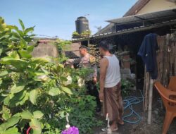 Inovasi Ketahanan Pangan di Desa Kuranji, Lombok Barat