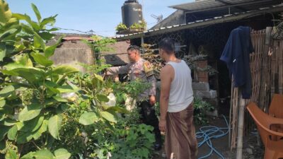 Inovasi Ketahanan Pangan di Desa Kuranji, Lombok Barat