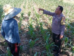 Sinergi Polri dan Petani: Optimalisasi Lahan Kosong di Dusun Jogot, Labuapi