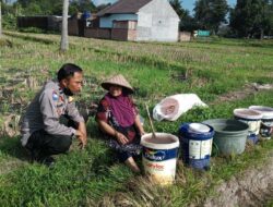 Gerakan Pangan Lokal Tumbuh di Kuripan Lewat Sentuhan Bhabinkamtibmas