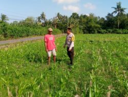 Dukung Swasembada, Warga Desa Jagaraga Diajak Tanami Lahan Kosong