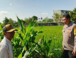 Bhabinkamtibmas Telagawaru Edukasi Petani Soal Lahan Pekarangan Bergizi