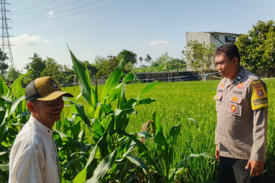 Bhabinkamtibmas Telagawaru Edukasi Petani Soal Lahan Pekarangan Bergizi