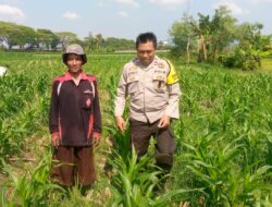 Sinergi Polisi dan Petani di Desa Jagaraga untuk Wujudkan Kemandirian Pangan