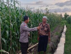 Sinergi Polisi dan Petani di Desa Babussalam untuk Wujudkan Ketahanan Pangan