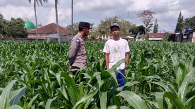 Bhabinkamtibmas Kuripan Ajak Warga Dusun Due Pelet Wujudkan Ketahanan Pangan