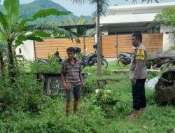 Ketahanan Pangan Berbasis Desa: Langkah Nyata Bhabinkamtibmas Senggigi