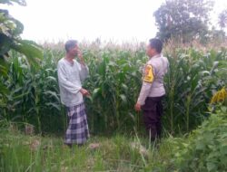Polri Hadir Bantu Petani Jagaraga Tingkatkan Produktivitas Lahan Pertanian
