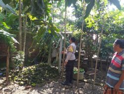 Ketahanan Pangan Dimulai dari Desa: Polsek Kuripan Sosialisasi Pemanfaatan Pekarangan