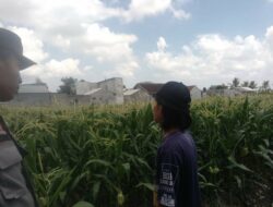 Polri dan Petani Labuapi Bersinergi Wujudkan Desa Mandiri Pangan