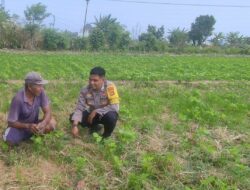 Polsek Labuapi Dorong Program Pangan Mandiri lewat Edukasi di Desa Kuranji