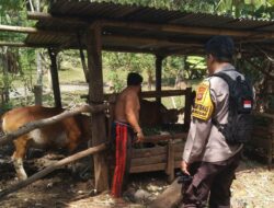 Ketahanan Pangan Mandiri, Warga Batulayar Barat Diajak Tanam Sayuran di Pekarangan