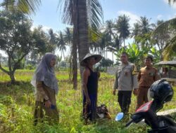 Kolaborasi Polri dan Penyuluh Pertanian di Gelogor, Kediri Dorong Kesejahteraan Petani Jagung