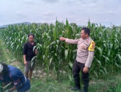 Warga Dusun Lamper Antusias Dukung Program Ketahanan Pangan Desa