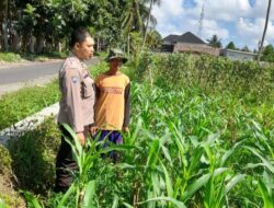 Kepolisian Kediri Bina Petani Jagung Gelogor, Perkuat Ekonomi dan Pangan Lokal