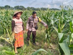 Polsek Labuapi Bangun Kesadaran Pangan Mandiri di Karang Kebon