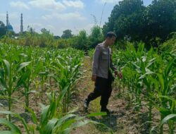 Kapolsek Labuapi: Keamanan dan Kesejahteraan Warga Perampuan Harus Sejalan