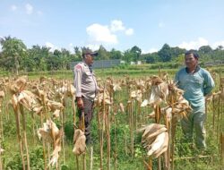Situasi Desa Merembu Kondusif, Polisi Ajak Warga Fokus pada Kemandirian Pangan