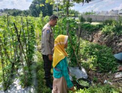 Ketahanan Pangan Diperkuat, Bhabinkamtibmas Desa Labuapi Ajak Warga Produktif