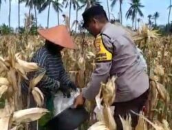 Sambang Desa di Lombok Barat: Bhabinkamtibmas Dorong Warga Jual Hasil Panen ke Bulog