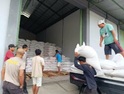 Bulog Mataram Serap 3,4 Ton Jagung Petani Gerung dengan Pengawalan Polisi