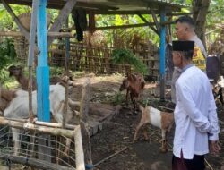 Ketahanan Pangan Desa Senggigi Didukung Inisiatif Bhabinkamtibmas Polsek Batulayar