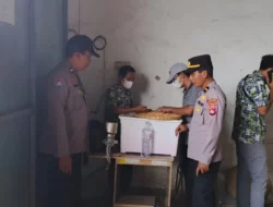 Petani Lega! Jagung Kering Terserap Bulog dengan Harga Acuan Pemerintah