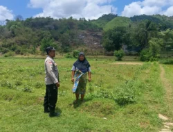 Bhabinkamtibmas Jadi Motor Ketahanan Pangan di Sekotong Barat