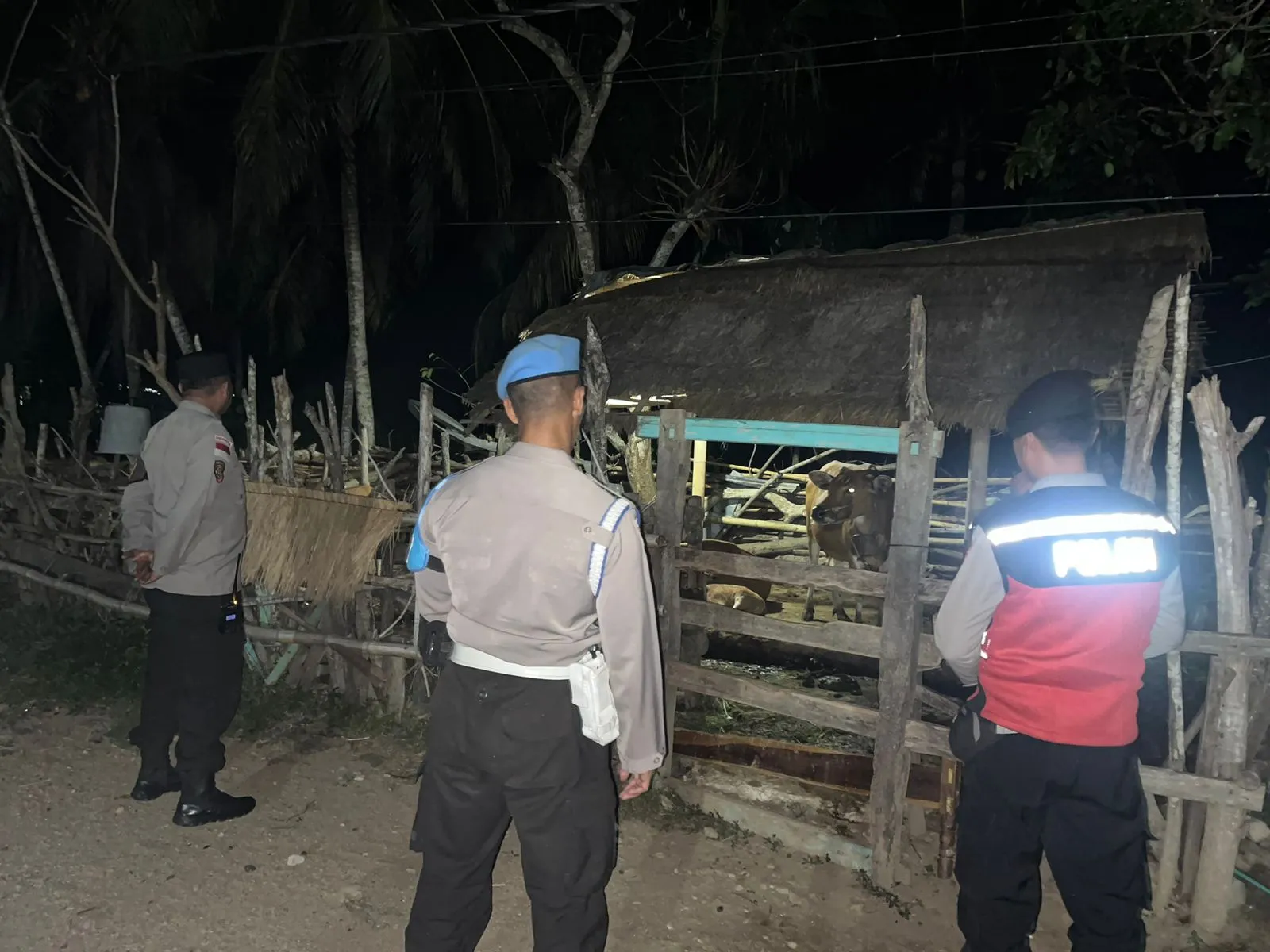 Polsek Sekotong Gencar Patroli Dini Hari, Fokus Amankan Ternak Warga