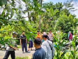 P3-TGAI Lelede: Dukungan Ustadz Abdul Hadi untuk Petani Lombok Barat