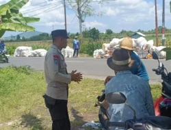 Sinergi Polisi dan Petani di Lombok Barat, Hasilkan Panen Jagung Melimpah