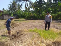 Sinergi Polri dan Petani di Lombok Barat, Wujud Nyata Kemandirian Pangan
