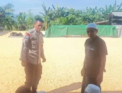 Sinergi Polisi dan Petani Jaga Pasokan Jagung di Lombok Barat