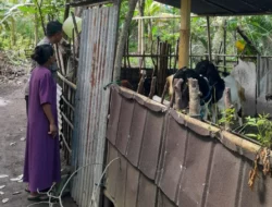 Sinergi Polri dan Warga Dusun Loco Wujudkan Ketahanan Pangan Lokal