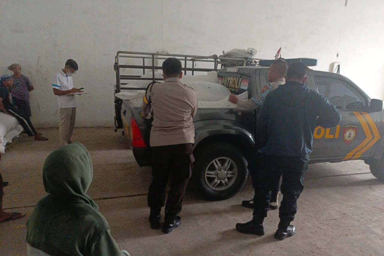 Polisi Turun ke Ladang, Pastikan Jagung Petani Lembar Terserap BULOG