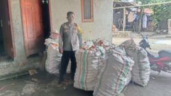 Sinergi Polri–Petani di Beleka: Kualitas Jagung Dijaga Ketat untuk BULOG