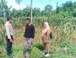 Bhabinkamtibmas Kediri Lobar dan PPL Tinjau Panen Jagung, Jaga Kestabilan Pangan Desa