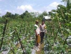 Sinergi Polri-Warga: Pekarangan Rumah Jadi Kunci Mandiri Pangan