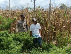 Langkah Praksis Polsek Gerung: Edukasi Pemanfaatan Lahan Kosong
