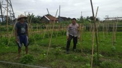 Sinergi Polri dan Petani Jagaraga Wujudkan Kemandirian Pangan