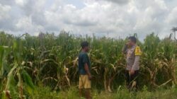 Sinergi Polri dan Warga Wujudkan Kemandirian Pangan di Lombok Barat