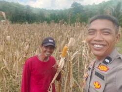 Polres Lombok Barat Aktif Dampingi Petani Tingkatkan Ketahanan Pangan