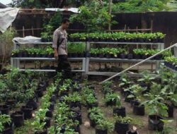 Warga Bengkel Sulap Pekarangan Jadi Lahan Produktif