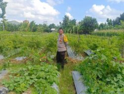 Strategi Polsek Gerung Perkuat Ketahanan Pangan Nasional