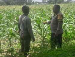 Polisi di Lombok Barat Motivasi Petani Optimalkan Lahan